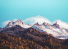 mk体育入口：一站式体育世界的灯塔